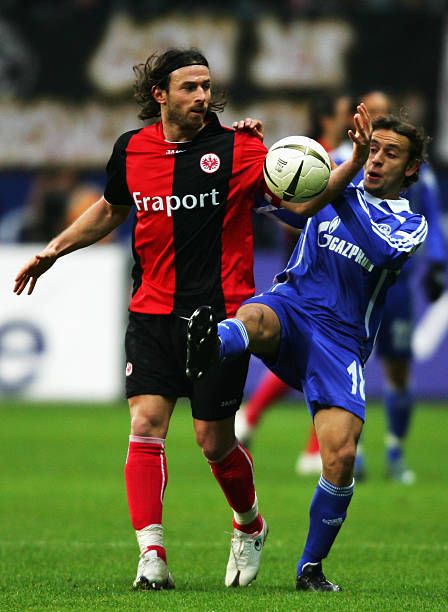 这篇文章的 这篇文章的